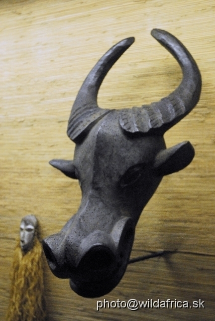 _DSC0203.JPG - Forest buffalo wood mask.