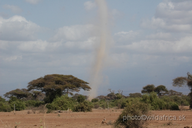 DSC_0091.JPG - Dusty winds are common in Amboseli.