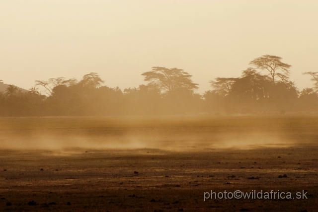 _DSC0309.JPG - The name of the Amboseli is derived from Masai word "empusel" which means salty dust.