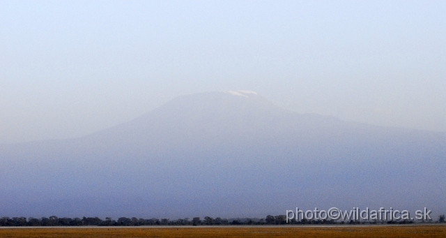 _DSC0401.JPG - Amboseli park lies in the shadow of Mount Kilimanjaro.