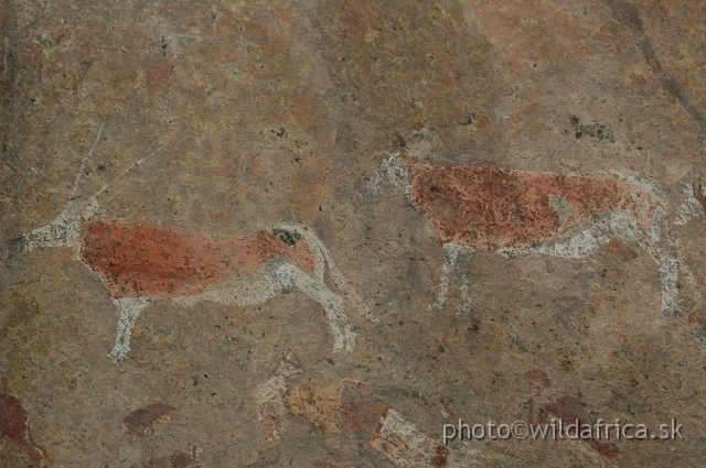 DSC_0575.JPG - Rock Art of Brandberg