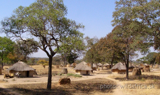 P9101006.JPG - Rural  Eastern Zambia close to the border of Zimbabwe.