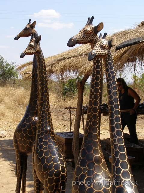 P9110003.JPG - Beauty of wooden long necked giraffes.
