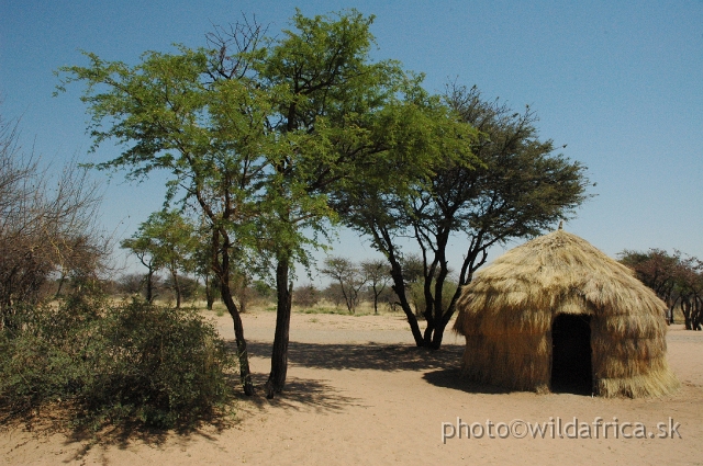 DSC_0244.JPG - At the edge of the vast Kalahari Desert lies this small private land called Trailblazers.