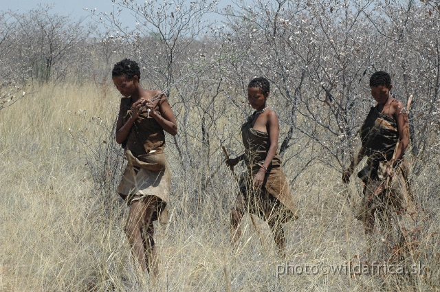 DSC_0279.JPG - These women are presenting their natural way of life, looking for plants and bulbs in the desert.