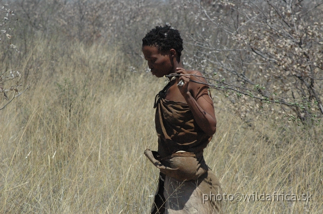 DSC_0281.JPG - They know hundreds of local plant species. The San people have much more lower body height (150-160 cm)