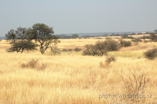 DSC_1870.JPG - Gweru park landscape