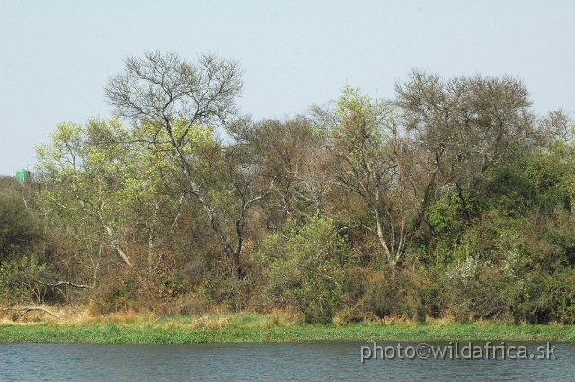 DSC_1883.JPG - Natural lake in Gweru