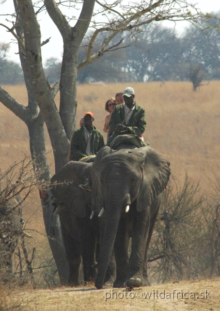 DSC_1889.JPG - Elephant rides