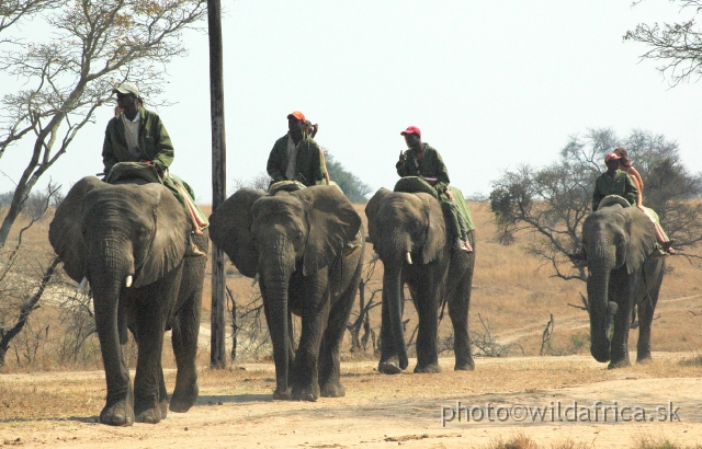 DSC_1891.JPG - Elephant rides