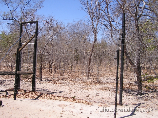 P1010163.JPG - These enclosures were builded with support of Perth Zoo, Australia.