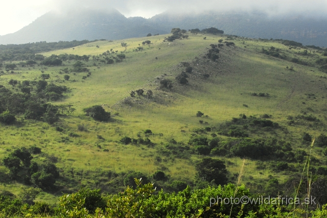 _DSC3066.JPG - Ithala landscape