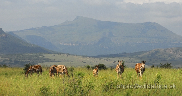 _DSC3169.JPG - Some of the rock formations are oldest in the world. There are wonderful views, notably from Ntschondwe Camp which is situated at the foot of the cliffs of the same name.