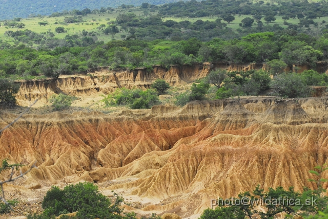 _DSC3278.JPG - Strong erosion was caused by former gold mining.