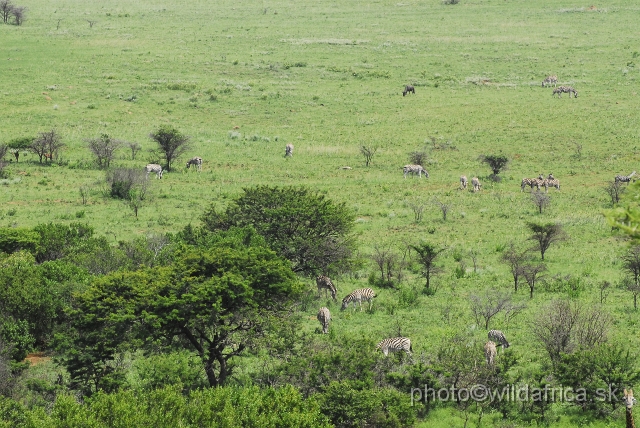 _DSC3317.JPG - In southern section of the reserve