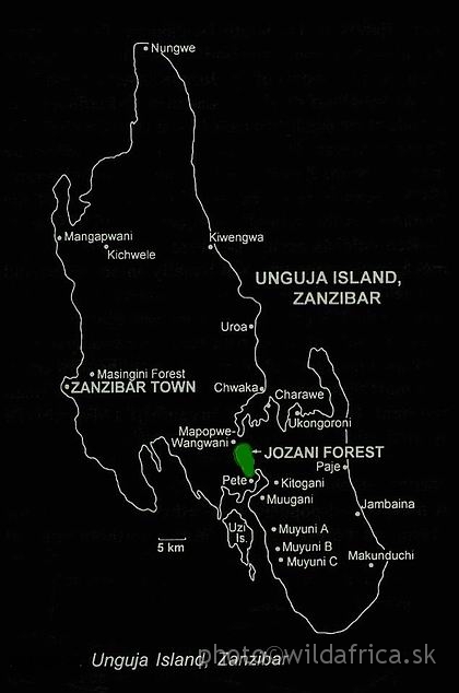 MAP_OF_ZANZIBAR.JPG - Map of Zanzibar and position of Jozani Forest.