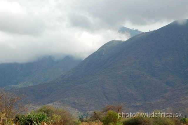 DSC_0943.JPG - Pare Mountains, North Tanzania