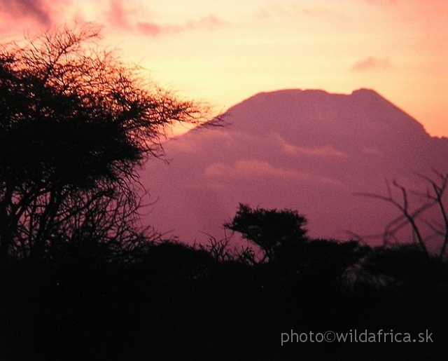 FGFGF.JPG - The morning silhouette of Kilimanjaro
