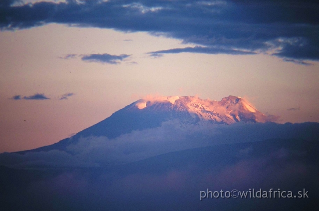 KIILIT.JPG - The Kibo, main peak of Kilimanjaro