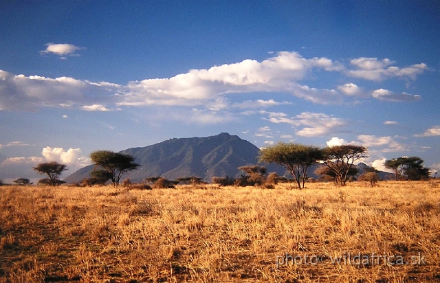 PA170022.JPG - Morning atmosphere in semi-arid savanna under the Kilimandjaro