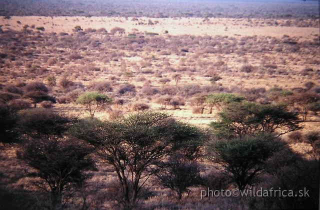 SAV.JPG - The semi-arid savanna under the Kilimandjaro