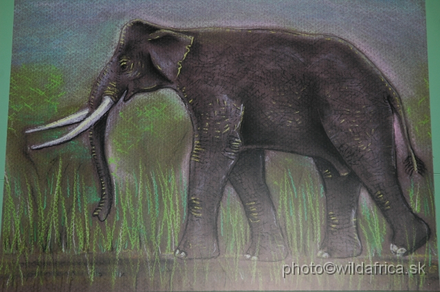 DSC_0055.JPG - Painting of Elephas reckii