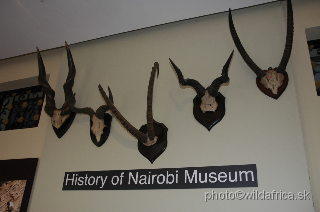 DSC_0125.JPG - Horns of Africa exhibit