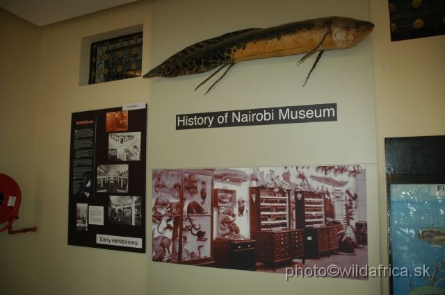 DSC_0135.JPG - Early exhibitions of Nairobi Museum