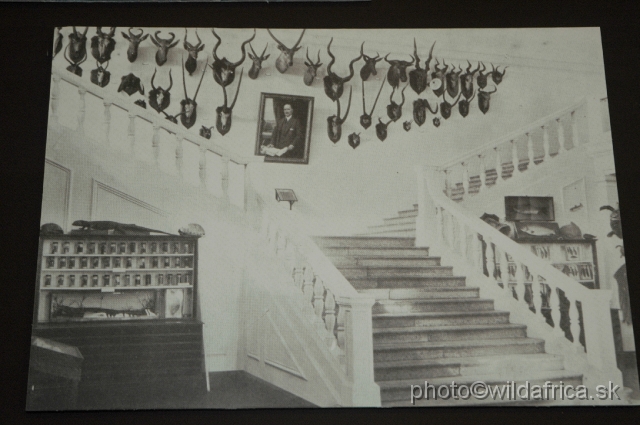 DSC_0138.JPG - Historical photograph of former Coryndon's Museum with wall of Horns of Africa.