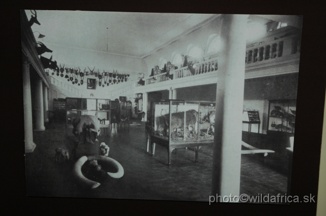 DSC_0140.JPG - Historical photograph of former Coryndon's Museum.