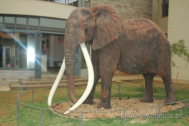 DSC_0263.JPG - In outdoor of the museum is this renovated replica of Big Ahmed which has different coloration than before (now more reddish).