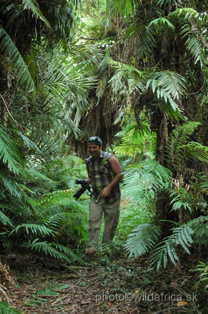 DSC_0290.JPG - Interior of Kosi Bay Coastal Forest