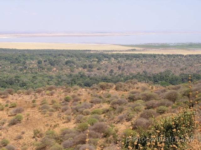 P8240004.JPG - Scenic view of Lake Manyara National Park