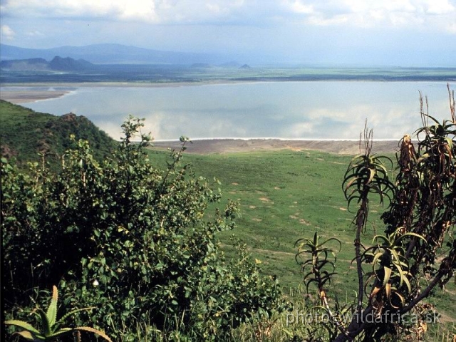 FOTO089.jpg - Lake Elmenteita, on the road to Lake Nakuru