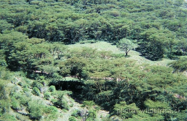 P1010055.JPG - Lake Nakuru 2002