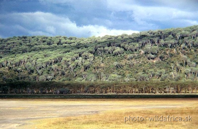 P9140044.JPG - Lake Nakuru 2002