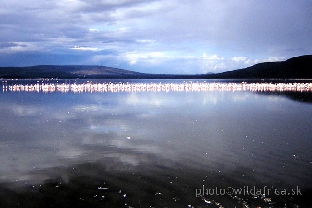 PA170057.jpg - Lake Nakuru 2002
