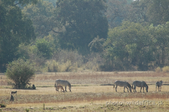 DSC_0154.JPG - Occupying a position between 12° and 14° south of the equator, the valley lacks neither light nor heat. (Visit in October and you may feel that it has too much of both, which is not optimal for photographer)