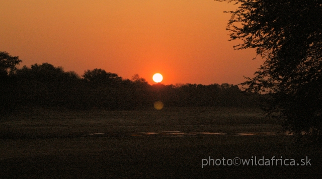 DSC_1276.JPG - Zambia has an impressive 21 per cent of its land set aside for the conservation of wildlife, including 19 gazetted national parks with a total area of some 60000 square kilometres.