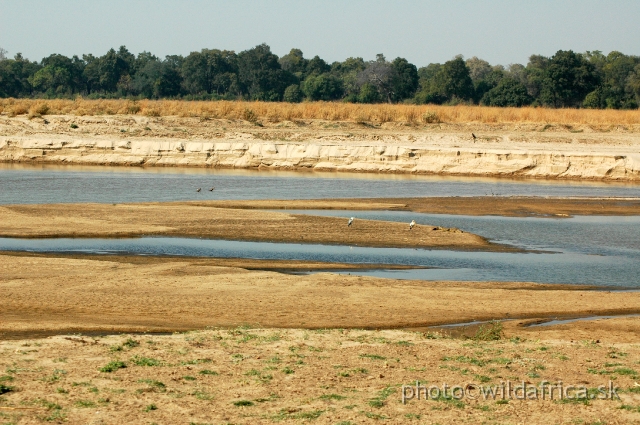 DSC_1516.JPG - The Luangwa Valley - some 50 kilometres wide - is bounded in the west by the steep rise of the Muchinga escarpment and to the east by a gentler, hilly landscape.