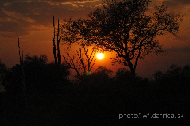 DSC_1687.JPG - David Livingstone, who crossed the Luangwa River just north of present-day Tafika Camp in 1866 wrote: 'I will make this beautiful land better known to men that it may become one of their haunts,' . 'It is impossible to describe its luxuriance.'