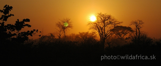 DSC_1759.JPG - The ancient atmosphere of Luangwa evening.