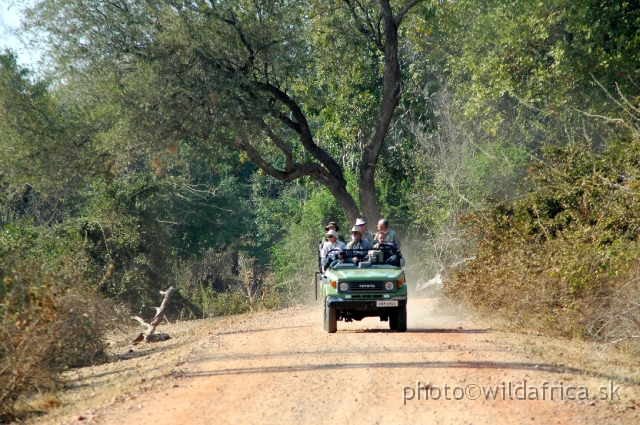 DSC_1900.JPG - Few parks can match this phenomenally high game density nor do they have the ability to show visitors such remarkable wildlife in so remote and isolated a wilderness. The concentration of game around the Luangwa river is among the most intense in Africa .
