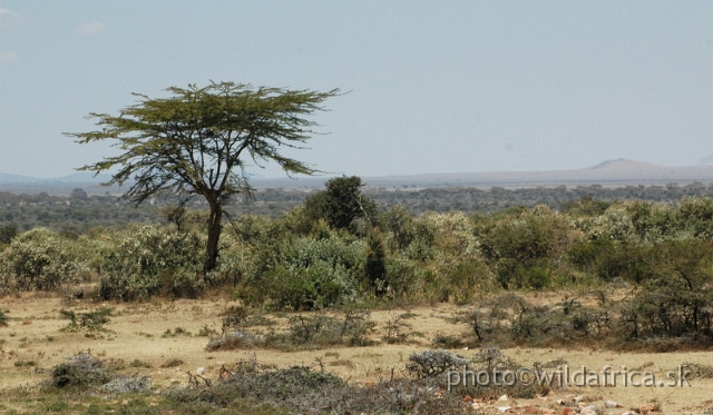 DSC_0293.JPG - Buffer zone near Masai Mara