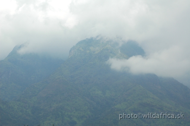 DSC_1287.JPG - Usambara Mountains