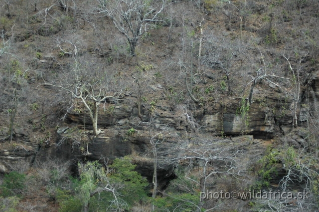 DSC_1359.JPG - Baobab Valley