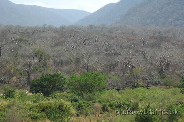 DSC_1369.JPG - Baobab Valley