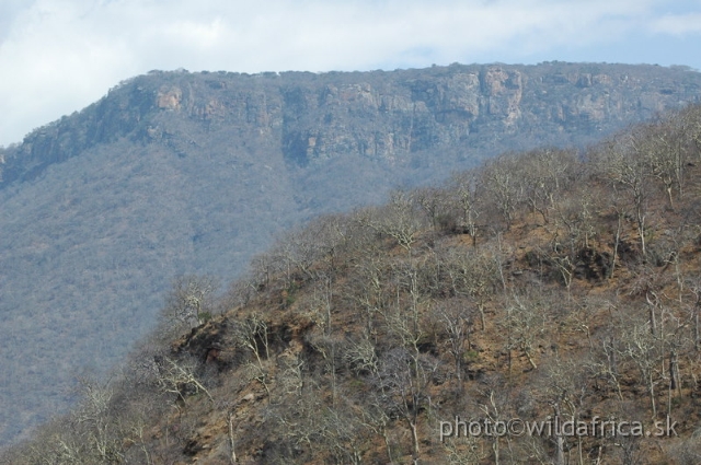 DSC_1370.JPG - Baobab Valley