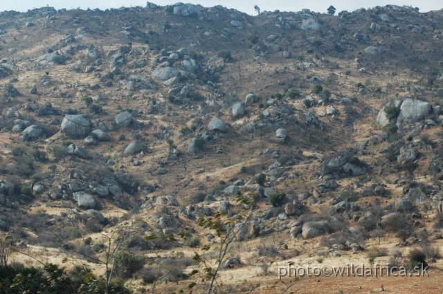 DSC_1381.JPG - Iringa Mountains