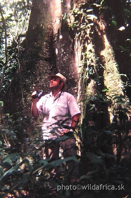 P1010001.JPG - Our first rainforest experience, Mpanga Forest, Uganda 2002
